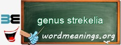 WordMeaning blackboard for genus strekelia